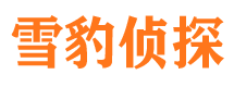 灵宝市婚外情调查